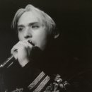 남창애견 이미지