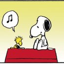 우드스탁 이미지