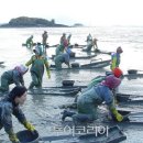 가을빛 낭만 즐기러 떠나는 `남도여행` 이미지