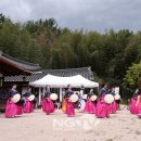 담빛 이미지