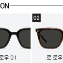 젠틀몬스터