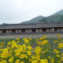 수애당
