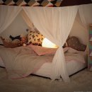 쁘띠메종 이미지