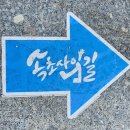 속초사잇길 제2길 | 속초사잇길 제2길 장사영랑해변길 걷기!