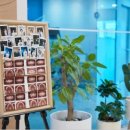 행복치과기공소 이미지