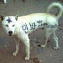 거기민박 이미지