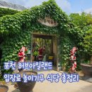 포천 허브아일랜드 입장료 놀이기구 식당먹거리 후기