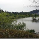 내고향 순천 이미지