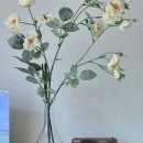 미소 가사도우미 1년 넘게 사용 중 후기, 가격, 꿀팁 총정리 (내돈내산)
