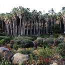 대륜동 법환포구 이미지