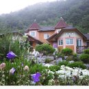 한반도면-5 이미지