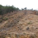 황재농장 이미지