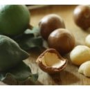 디아동물병원 이미지