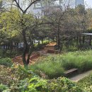 번동U-도서관 이미지