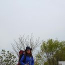 장미로(대로3-13) 이미지