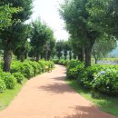 장성공원3 이미지