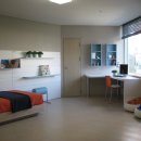 금광베네스타 이미지