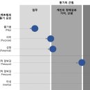 도쉬 티스토리