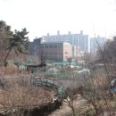 이곡중학교 이미지