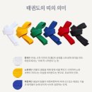 한국체대 가온 태권도 이미지