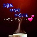 놀자7080라이브 Daum카페
