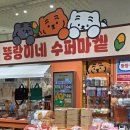 더현대서울 팝업스토어 뚱랑이네 수퍼마켙 후기 | 일정•굿즈•이벤트 총정리(5월 서울 팝업 추천)