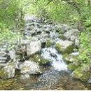 통리군부대 이미지