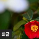 낮에 나온 반달 / 김지수 이미지