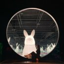 d&#39;strict 전시전, 제주 아르떼 뮤지엄