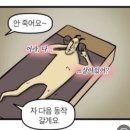바른선필라테스 이미지