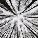 한화목장 이미지