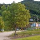 단양생태체육공원 2 이미지