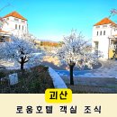 괴산 자연드림파크 로움호텔 2관 객실 조식 가성비 숙소