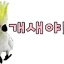 아름이농장 이미지