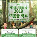 여름숲
