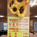 장터옛날통닭강릉점
