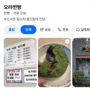 신설동보리빵