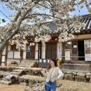 모리씨 빵가게 이미지