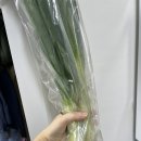 산의천 | 식명관 천원의 행복 배송상태 및 신선도 내돈내산 후기