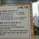 이백그람