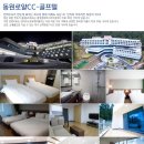 로얄종합카 이미지