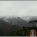 양양 진전사지 도의선사탑 이미지