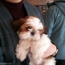 2020 위대한 유산 이미지