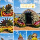 광림공원노동조합 | &#34;마산 가고파 국화축제&#34; 마지막 날 방문 후기!