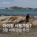 스노클링 | [공지] 강원도 고성 가볼만한곳 아이랑 송지호해수욕장 어린이 서핑강습 @위너서프