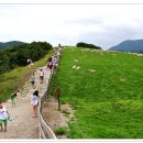 평화목장 이미지