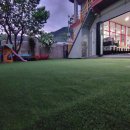 야옹아놀자 순천점 이미지