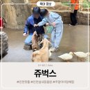 인천 서창 주말에 아이와함께 가볼만한곳 특별한 체험 인천실내동물원 쥬벅스