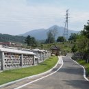 양평공설공원묘지 이미지