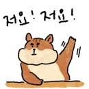 청년피자 호매실점 이미지